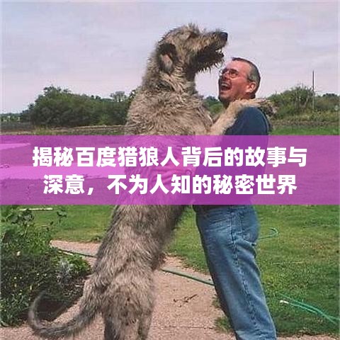 揭秘百度猎狼人背后的故事与深意，不为人知的秘密世界