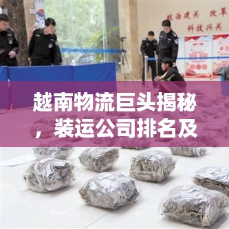越南物流巨头揭秘，装运公司排名及行业佼佼者盘点