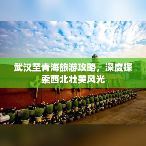 武汉至青海旅游攻略，深度探索西北壮美风光