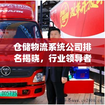 仓储物流系统公司排名揭晓，行业领导者展望未来发展新趋势