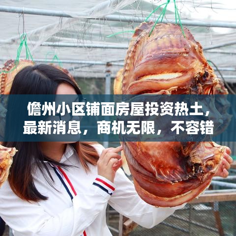 儋州小区铺面房屋投资热土，最新消息，商机无限，不容错过