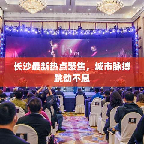 长沙最新热点聚焦，城市脉搏跳动不息