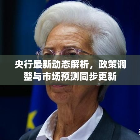 央行最新动态解析，政策调整与市场预测同步更新