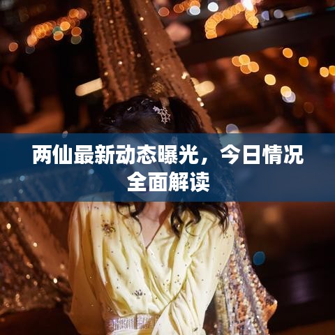 两仙最新动态曝光，今日情况全面解读