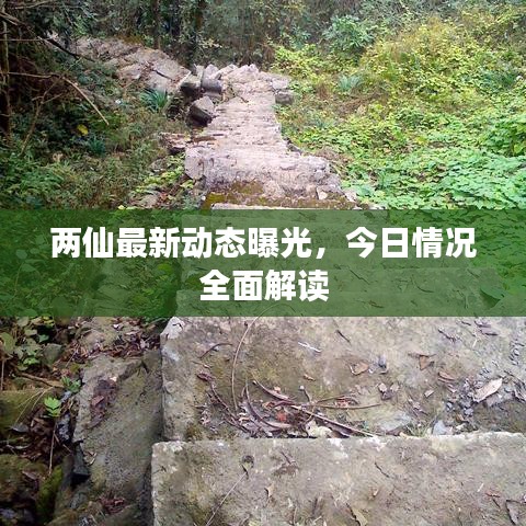 两仙最新动态曝光,今日情况全面解读