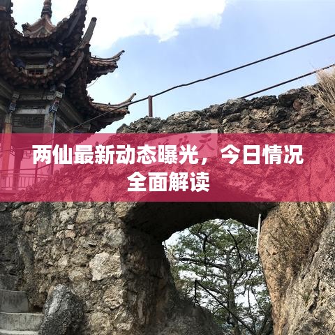 两仙最新动态曝光,今日情况全面解读