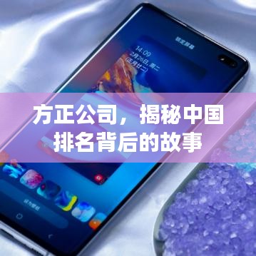 方正公司，揭秘中国排名背后的故事
