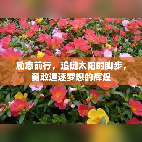 励志前行，追随太阳的脚步，勇敢追逐梦想的辉煌