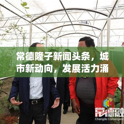 常德隆子新闻头条,城市新动向,发展活力涌动