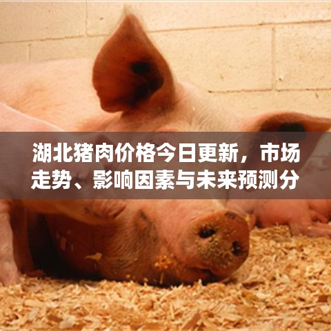 湖北猪肉价格今日更新，市场走势、影响因素与未来预测分析
