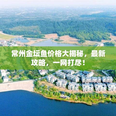 常州金坛鱼价格大揭秘,最新攻略,一网打尽!