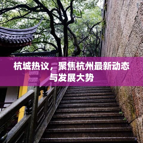 杭城热议，聚焦杭州最新动态与发展大势