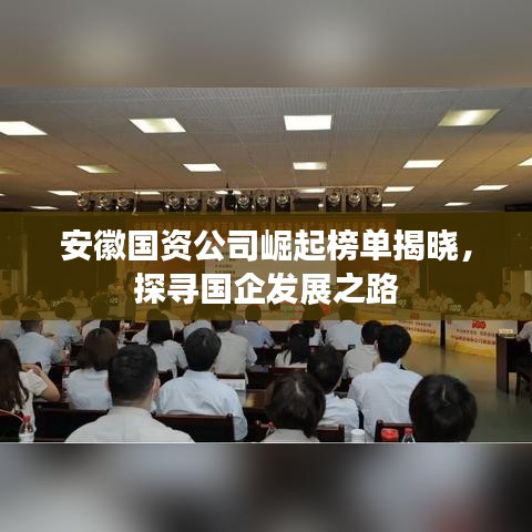 安徽国资公司崛起榜单揭晓，探寻国企发展之路