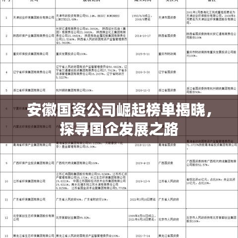 安徽国资公司崛起榜单揭晓,探寻国企发展之路