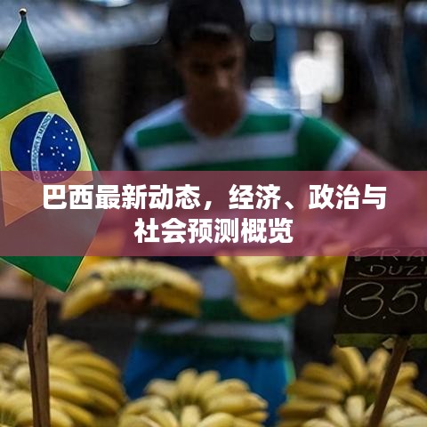 巴西最新动态，经济、政治与社会预测概览