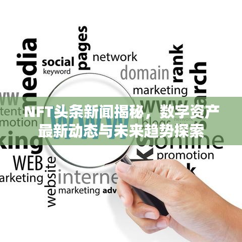 NFT头条新闻揭秘，数字资产最新动态与未来趋势探索