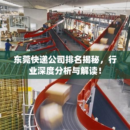 东莞快递公司排名揭秘，行业深度分析与解读！