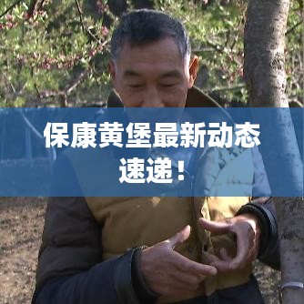 保康黄堡最新动态速递！