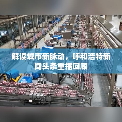 解读城市新脉动，呼和浩特新闻头条重播回顾