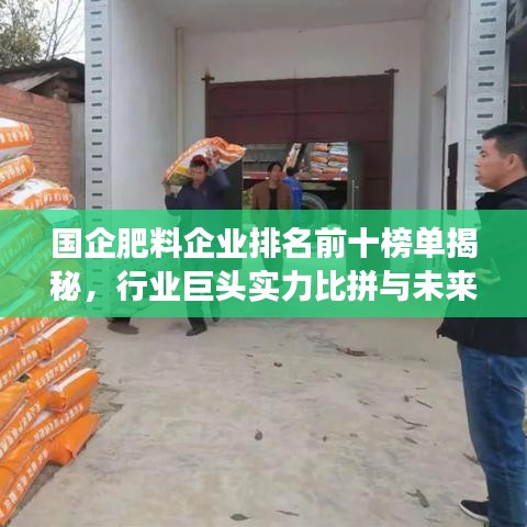 国企肥料企业排名前十榜单揭秘，行业巨头实力比拼与未来趋势展望