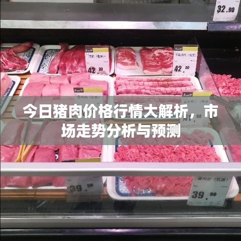 今日猪肉价格行情大解析，市场走势分析与预测