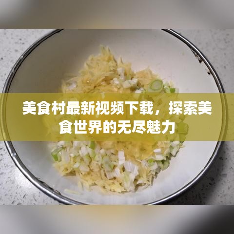 美食村最新视频下载,探索美食世界的无尽魅力