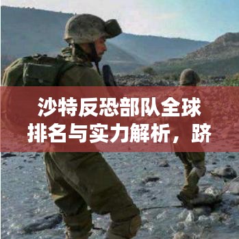 沙特反恐部队全球排名与实力解析,跻身前十的辉煌战绩