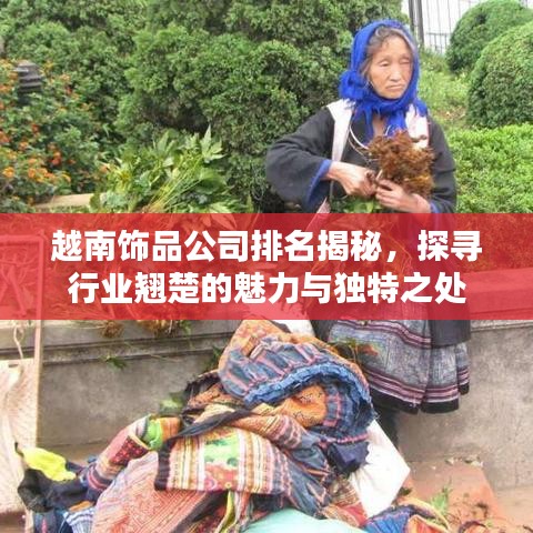 越南饰品公司排名揭秘，探寻行业翘楚的魅力与独特之处