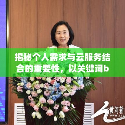 揭秘个人需求与云服务结合的重要性,以关键词bl我要的第一下百度云为例