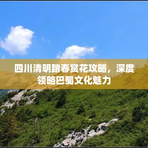 四川清明踏春赏花攻略，深度领略巴蜀文化魅力