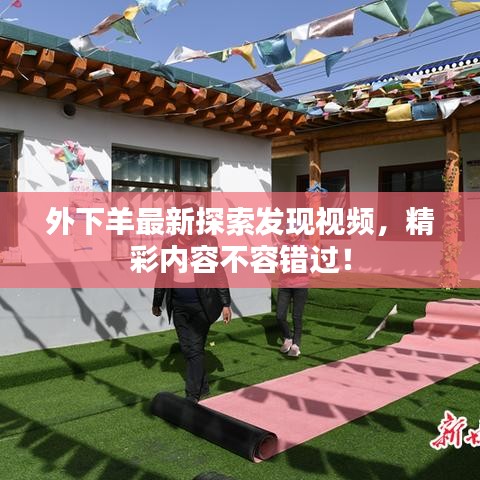 外下羊最新探索发现视频，精彩内容不容错过！