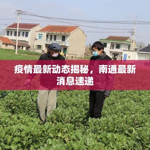 疫情最新动态揭秘，南通最新消息速递
