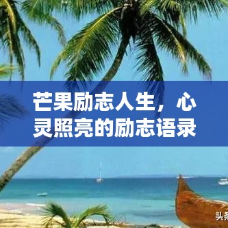 芒果励志人生，心灵照亮的励志语录