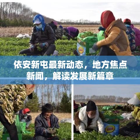 依安新屯最新动态，地方焦点新闻，解读发展新篇章