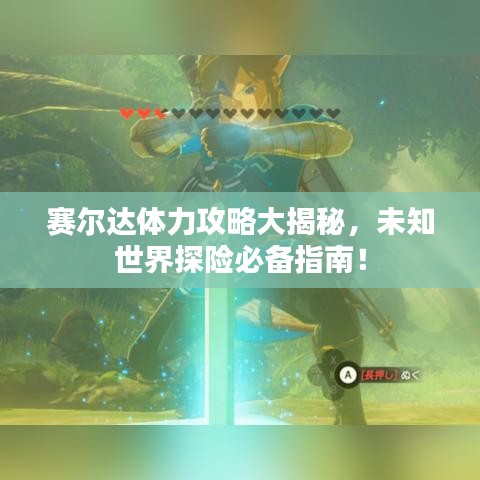 赛尔达体力攻略大揭秘，未知世界探险必备指南！
