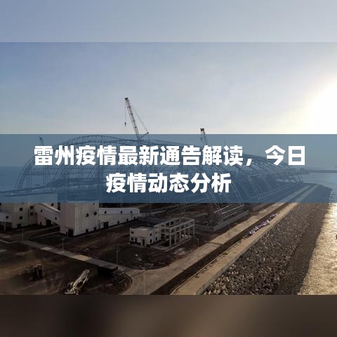 雷州疫情最新通告解读,今日疫情动态分析