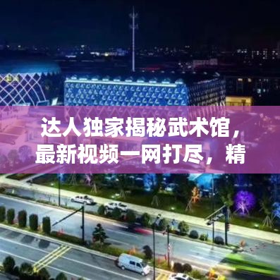 达人独家揭秘武术馆，最新视频一网打尽，精彩纷呈！