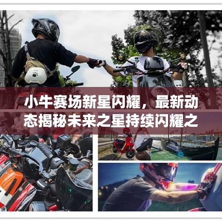 小牛赛场新星闪耀，最新动态揭秘未来之星持续闪耀之路