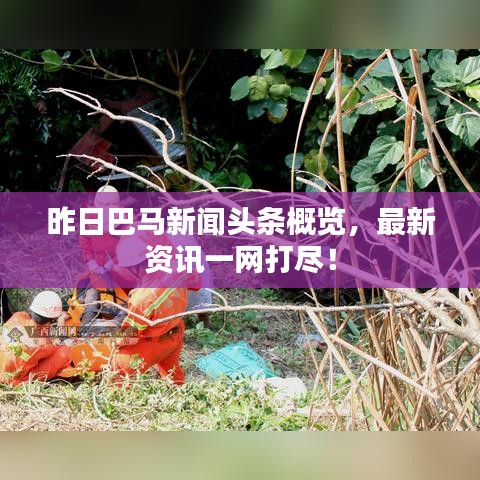 昨日巴马新闻头条概览，最新资讯一网打尽！