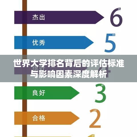 世界大学排名背后的评估标准与影响因素深度解析