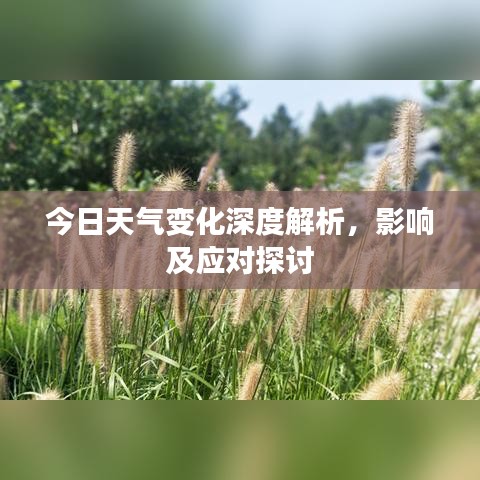 今日天气变化深度解析,影响及应对探讨