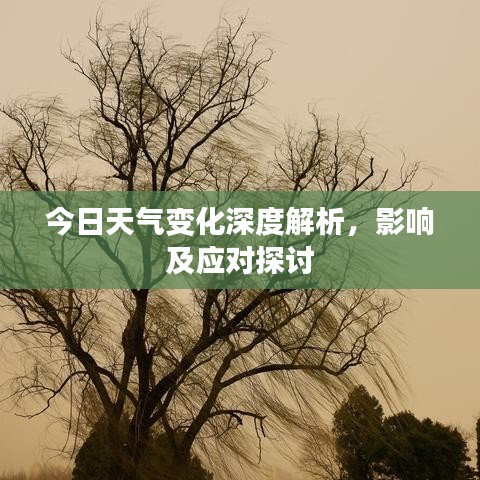 今日天气变化深度解析,影响及应对探讨