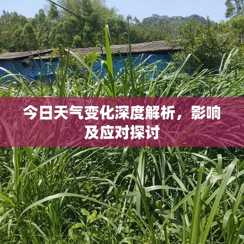 今日天气变化深度解析,影响及应对探讨