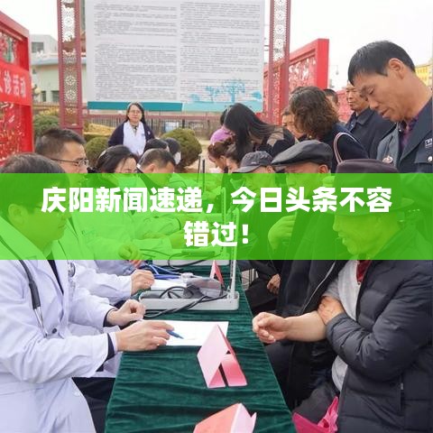 庆阳新闻速递，今日头条不容错过！