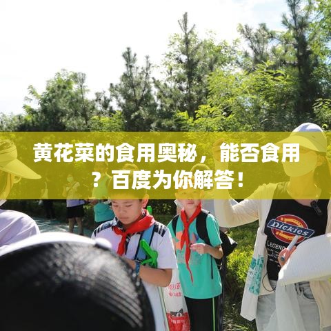 黄花菜的食用奥秘，能否食用？百度为你解答！