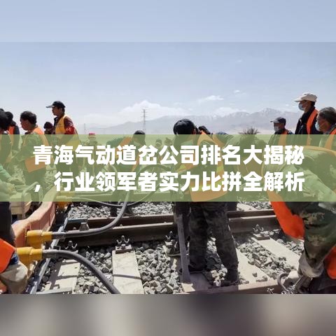 青海气动道岔公司排名大揭秘,行业领军者实力比拼全解析