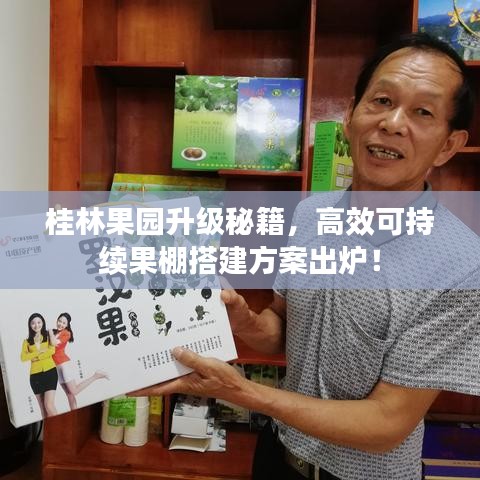 桂林果园升级秘籍，高效可持续果棚搭建方案出炉！