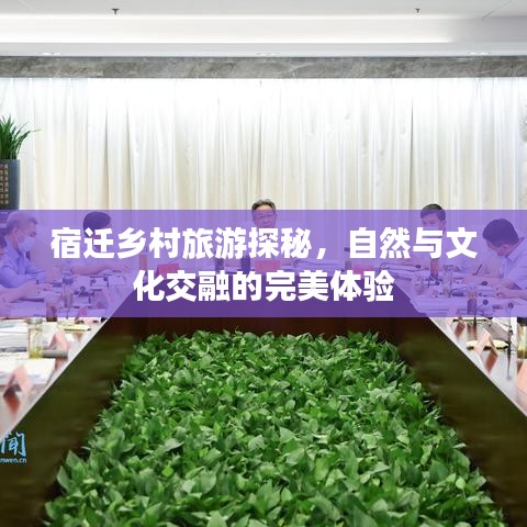 宿迁乡村旅游探秘，自然与文化交融的完美体验