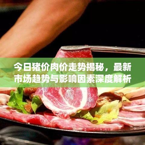 今日猪价肉价走势揭秘，最新市场趋势与影响因素深度解析