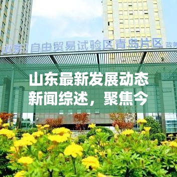 山东最新发展动态新闻综述，聚焦今日山东发展瞩目之处